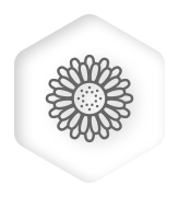 icône de fleur noire et blanche